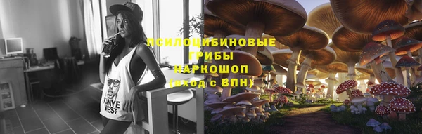 крисы Балахна