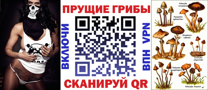 закладки  Демидов  Псилоцибиновые грибы MAGIC MUSHROOMS 